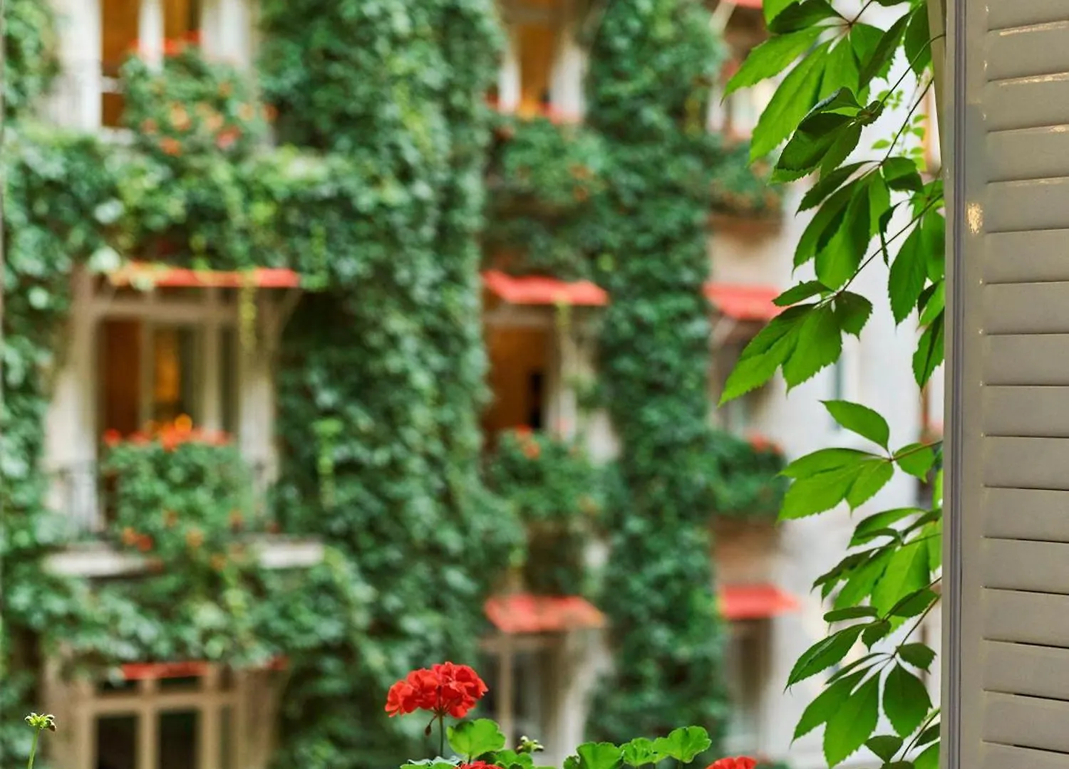 Hotel Plaza Athenee - Dorchester Collection 5*